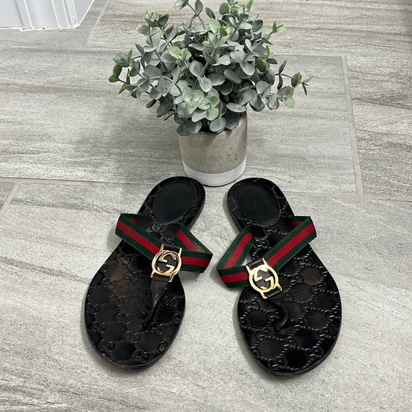 Gucci GG Thong Web Sandal - Picture 1 of 7